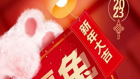 福兔蹦跳迎新年|上药控股(湖南)祝大家新年快乐,大展宏兔