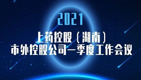 融合发展 蓄力前行 ——上药控股(湖南)市外控股公司一季度工作会议